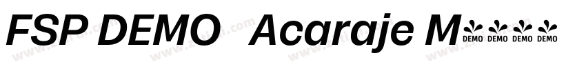 FSP DEMO   Acaraje M字体转换